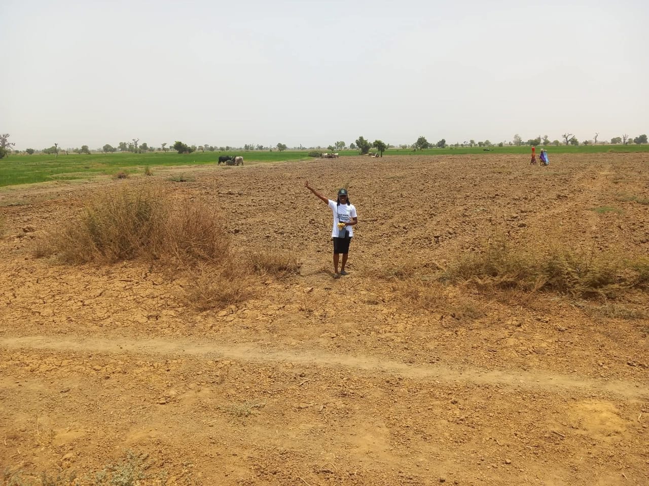 Field assessment on farmland